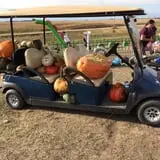 Nielsen Kids U-Pick Pumpkin & Sweetcorn Patch photo