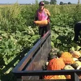 Nielsen Kids U-Pick Pumpkin & Sweetcorn Patch photo