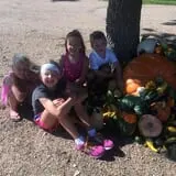 Nielsen Kids U-Pick Pumpkin & Sweetcorn Patch photo