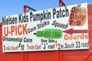 Nielsen Kids U-Pick Pumpkin & Sweetcorn Patch