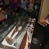 Haunted Museum Ghost Story Festival photo