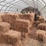 Rufener Hilltop Farm Fall Festival photo