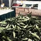 Rufener Hilltop Farm Fall Festival photo