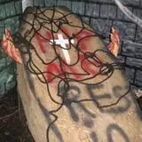 Fear in the Forest photo