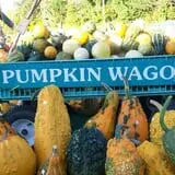Burnap's Farm Market photo