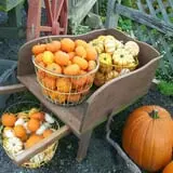 Burnap's Farm Market photo