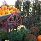 Burnap's Farm Market photo