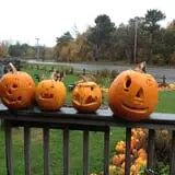 Burnap's Farm Market photo