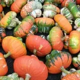 Burnap's Farm Market photo
