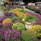 Burnap's Farm Market photo