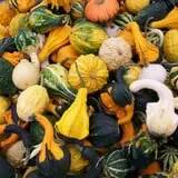 Burnap's Farm Market photo