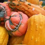Burnap's Farm Market photo