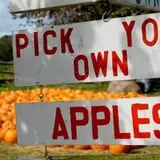 Burnap's Farm Market photo
