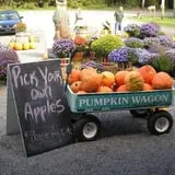Burnap's Farm Market photo