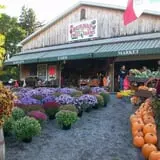 Burnap's Farm Market photo