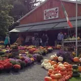 Burnap's Farm Market photo