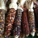 Burnap's Farm Market photo