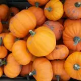 Burnap's Farm Market photo