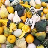 Burnap's Farm Market photo