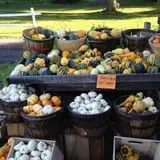 Burnap's Farm Market photo