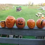 Burnap's Farm Market photo