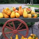 Burnap's Farm Market photo