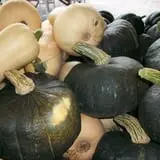 Burnap's Farm Market photo