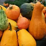 Burnap's Farm Market photo