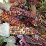 Burnap's Farm Market photo