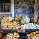 Burnap's Farm Market photo
