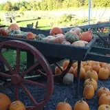 Burnap's Farm Market photo