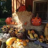 Burnap's Farm Market photo