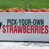 Burnap's Farm Market photo