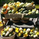 Burnap's Farm Market photo