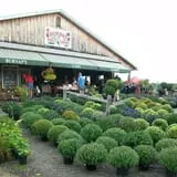 Burnap's Farm Market photo