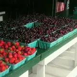 Burnap's Farm Market photo