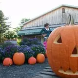 Burnap's Farm Market photo
