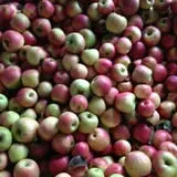 Burnap's Farm Market photo