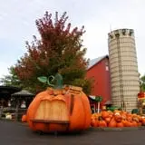 Bengtson's Pumpkin Fest photo