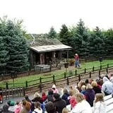Bengtson's Pumpkin Fest photo