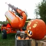 Bengtson's Pumpkin Fest photo