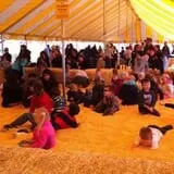 Bengtson's Pumpkin Fest photo