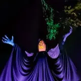 The Pumpkin King photo