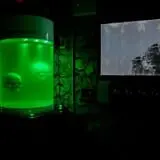 OMEscape Escape Room Game photo