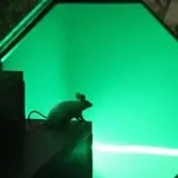 OMEscape Escape Room Game photo