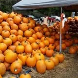 Simpson's Produce photo