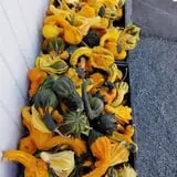 Simpson's Produce photo