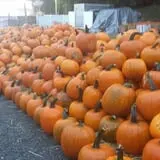 Simpson's Produce photo