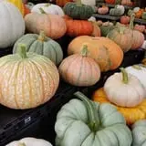 Simpson's Produce photo