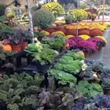 Simpson's Produce photo